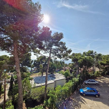 Apartamento Alma 萨洛 外观 照片
