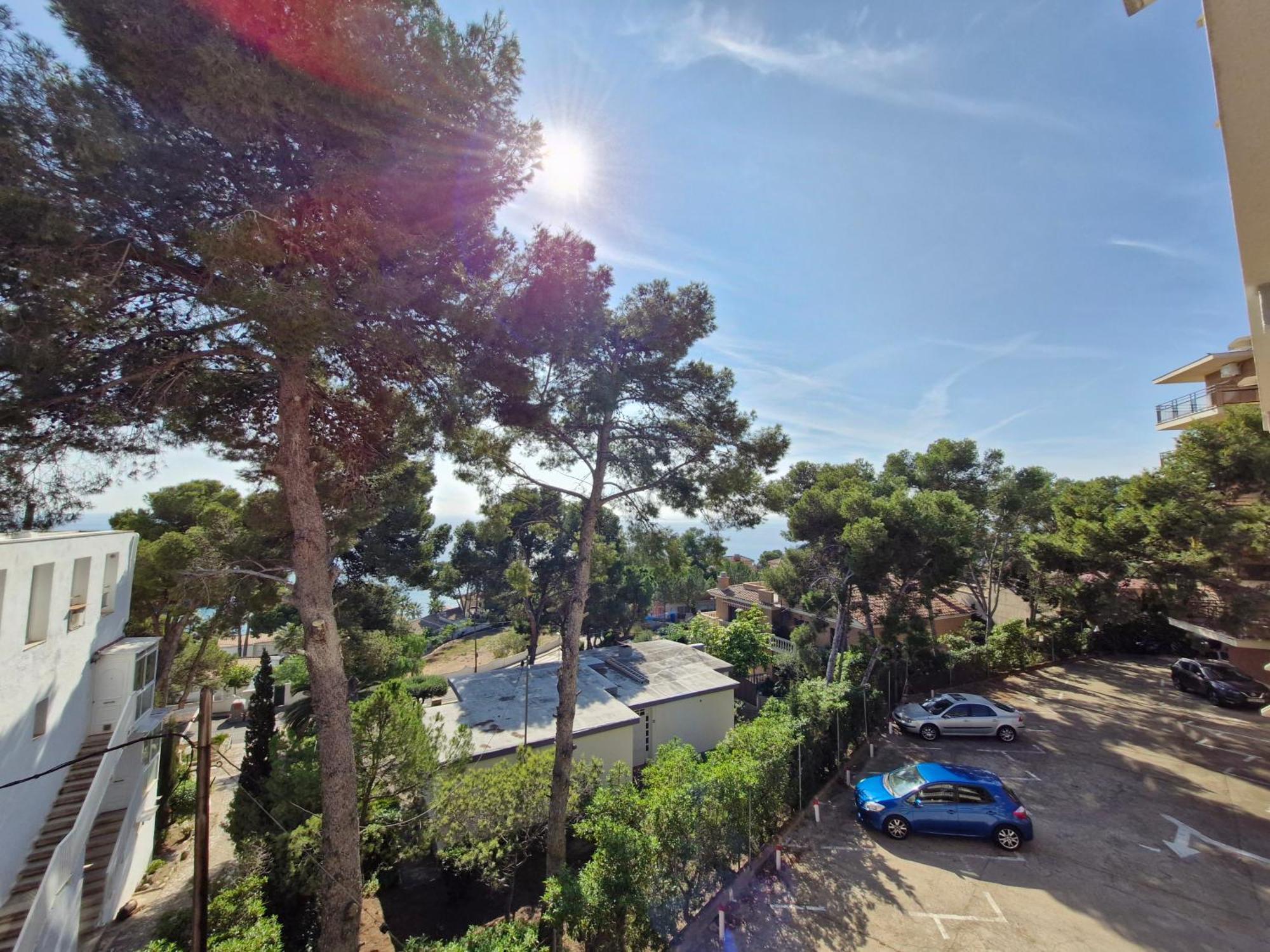 Apartamento Alma 萨洛 外观 照片